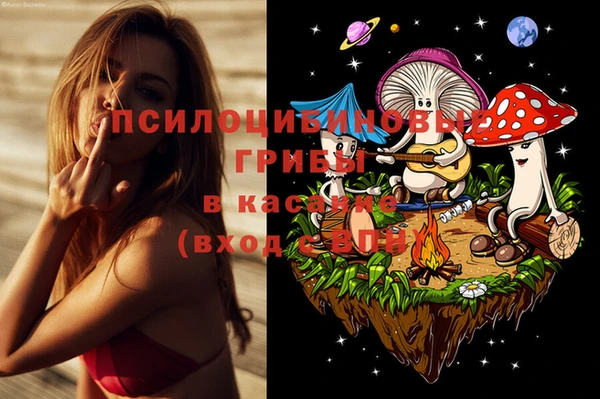герыч Вязьма