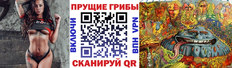 Псилоцибиновые грибы MAGIC MUSHROOMS  где продают   Ершов 
